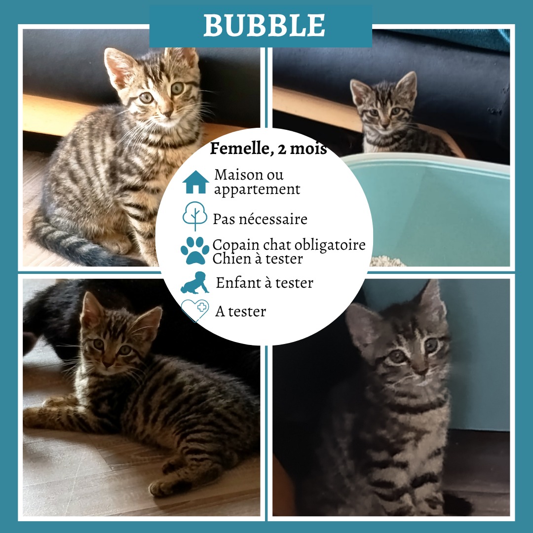 Bubble