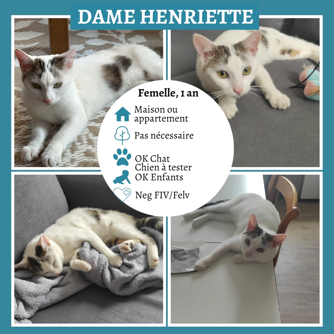 Dame Henriette