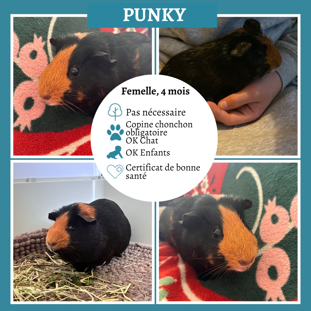 Punky