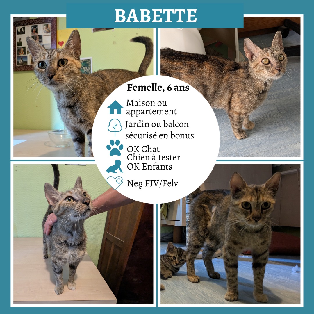 Babette