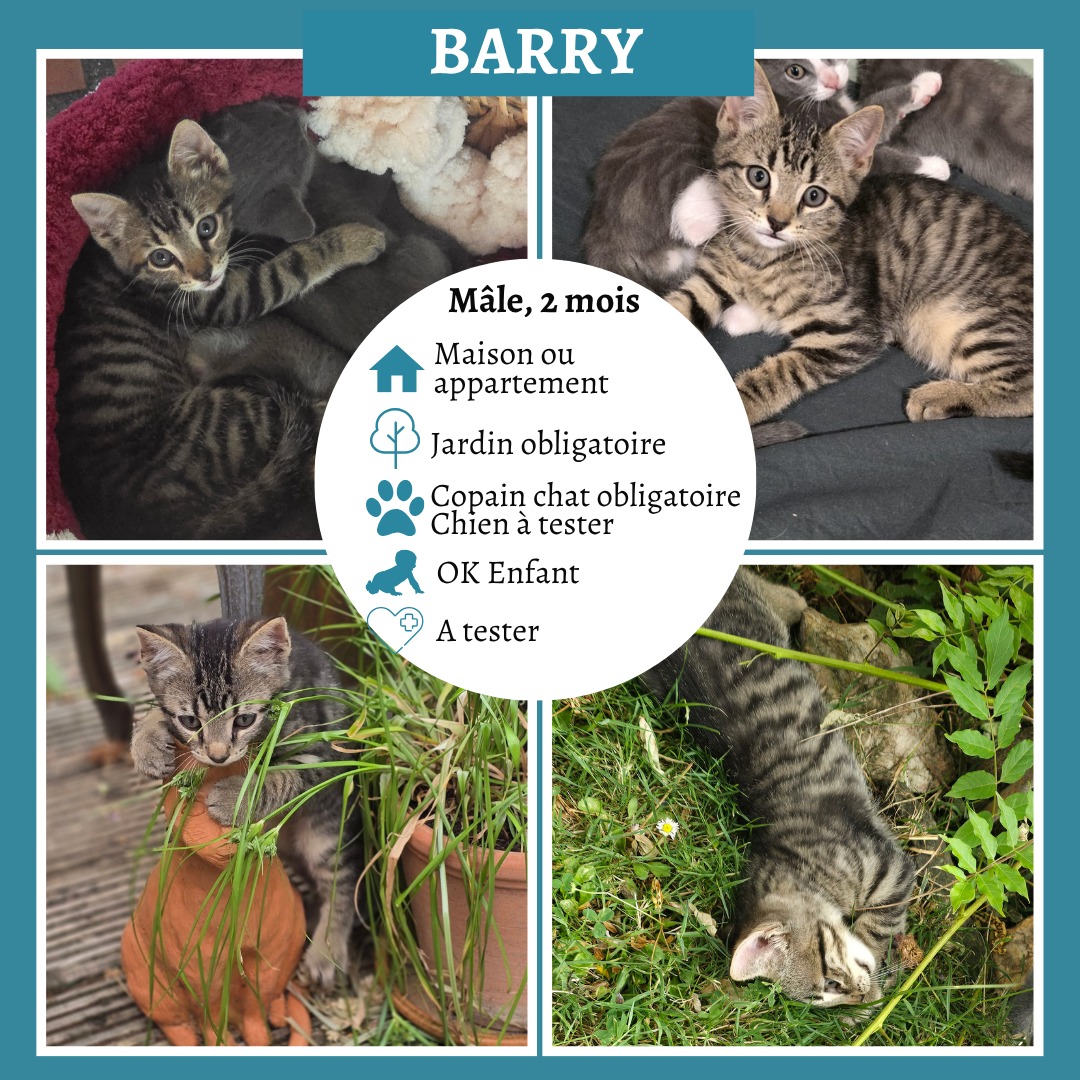 Barry