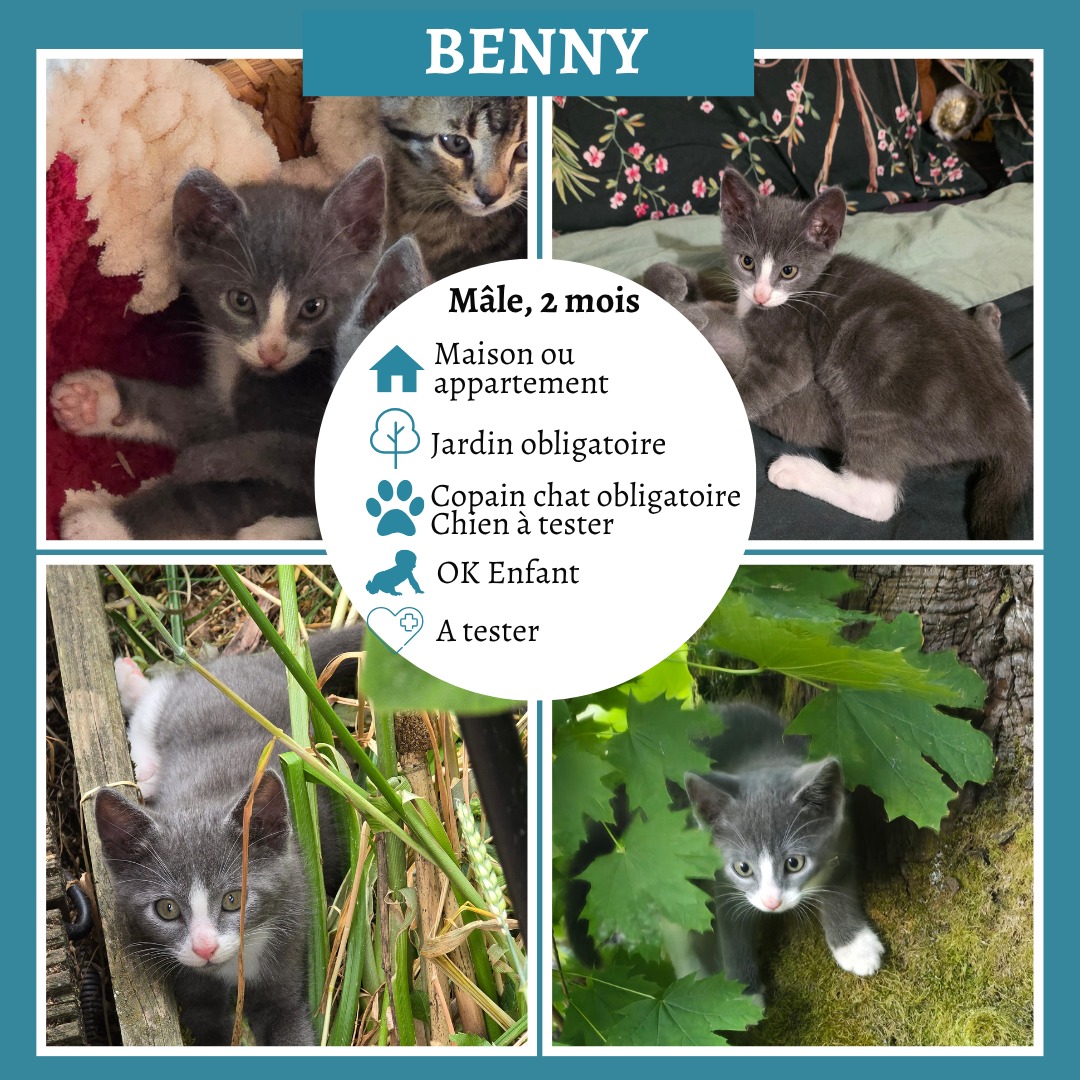Benny