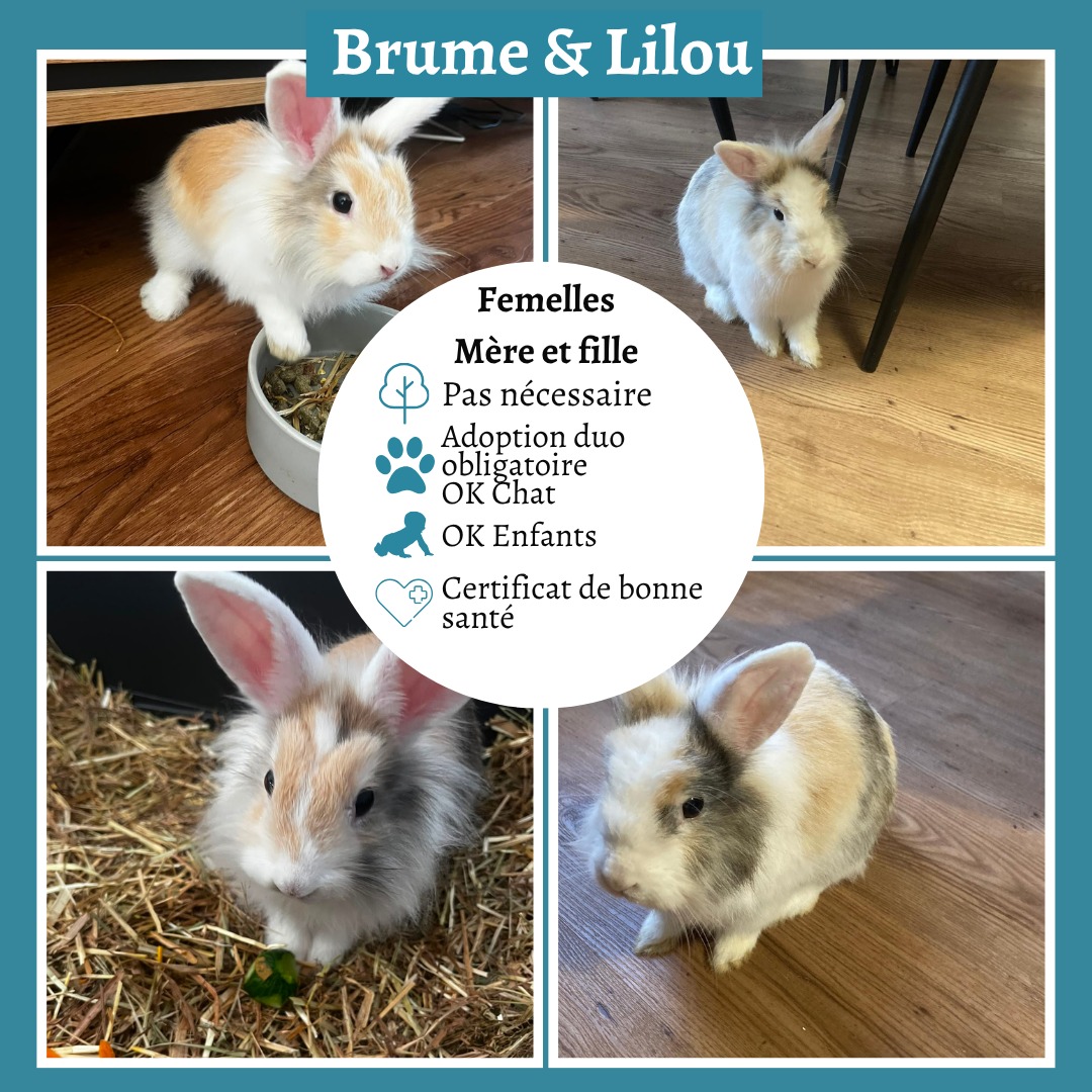 Brume & Lilou