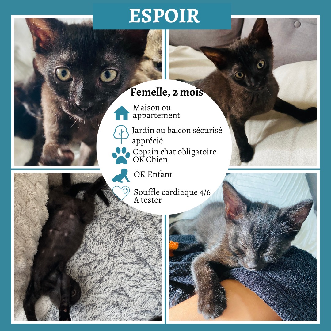 Espoir