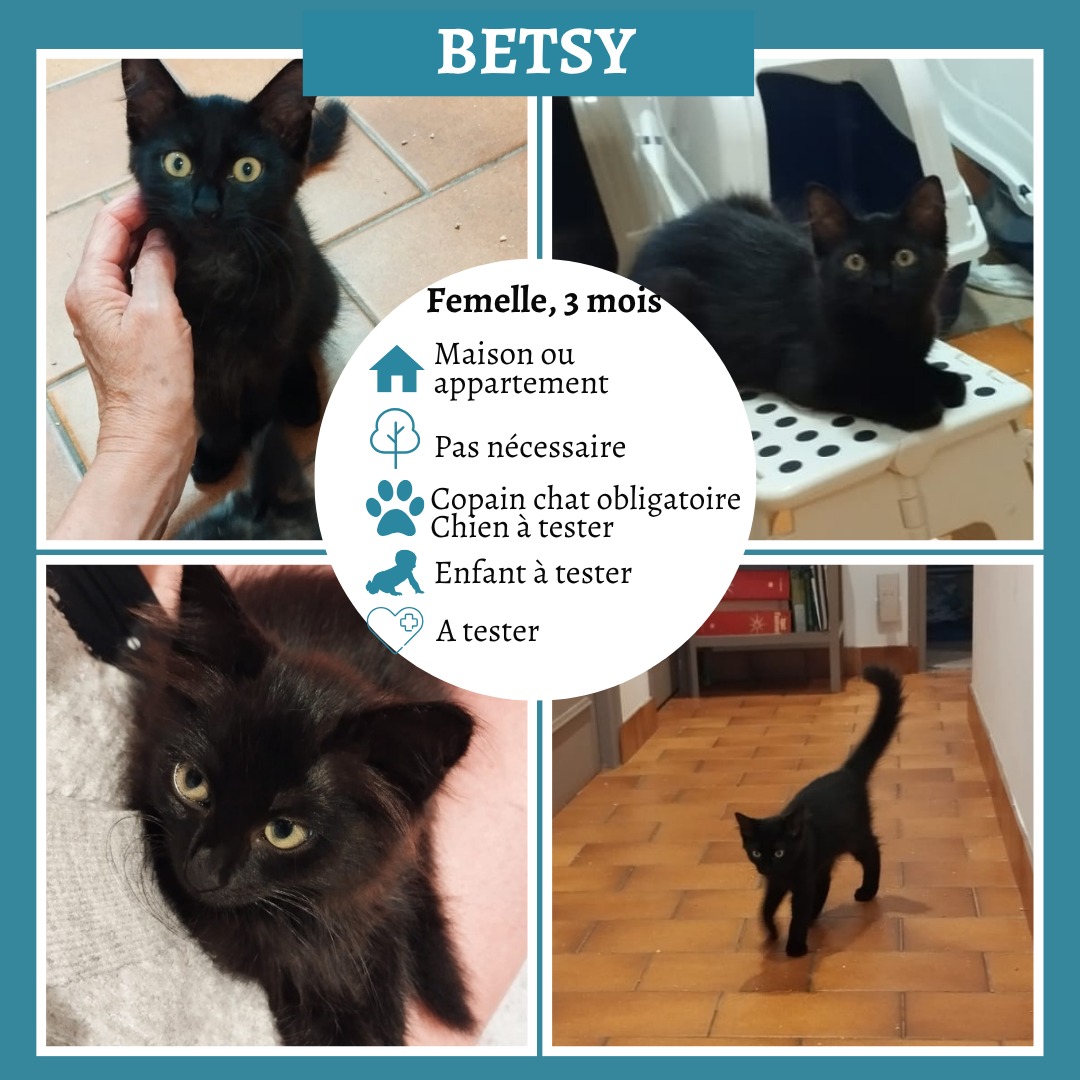 Betsy