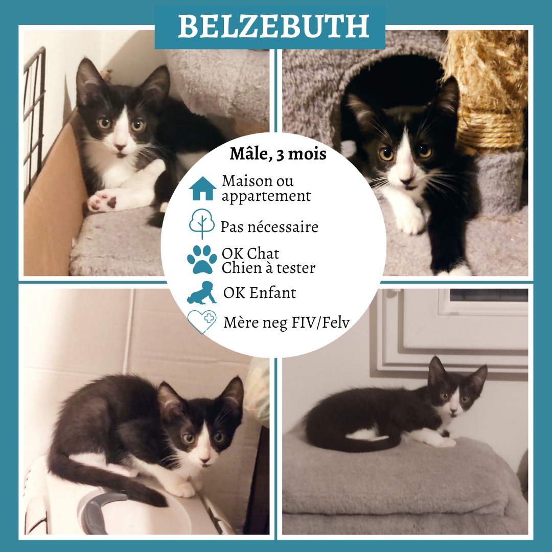 Belzebuth