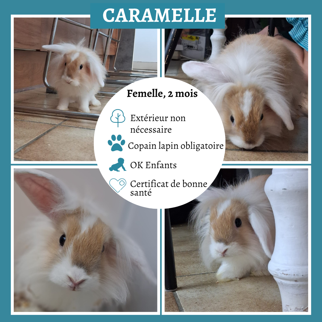 Caramelle