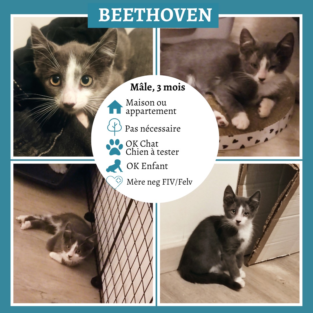 Beethoven
