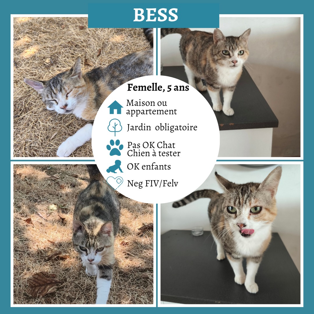Bess