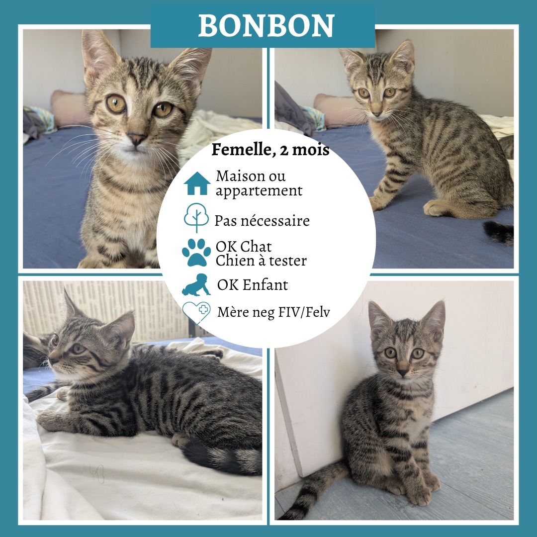 Bonbon