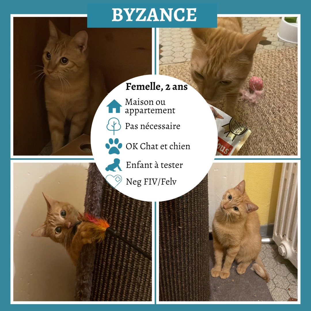 Byzance