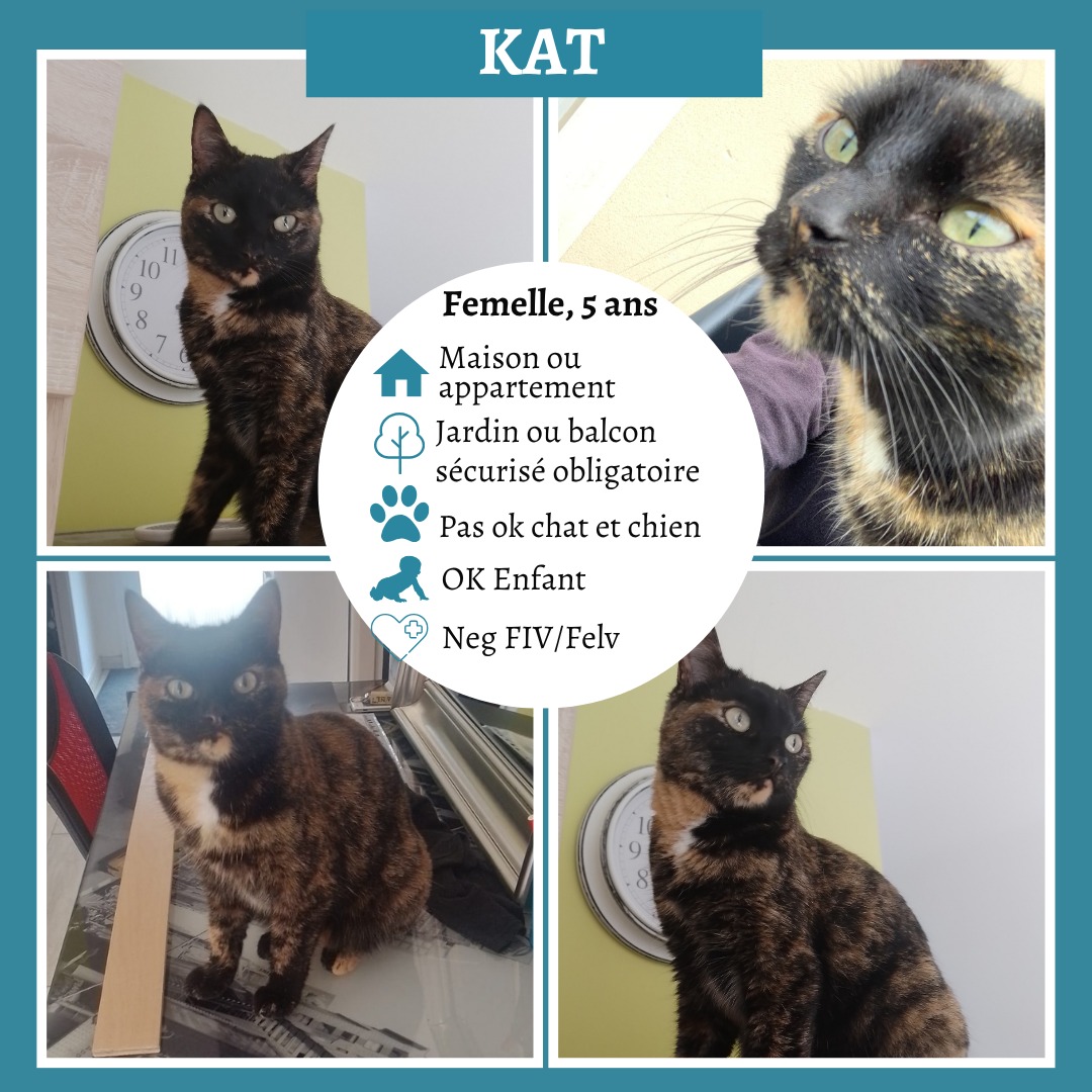 Kat