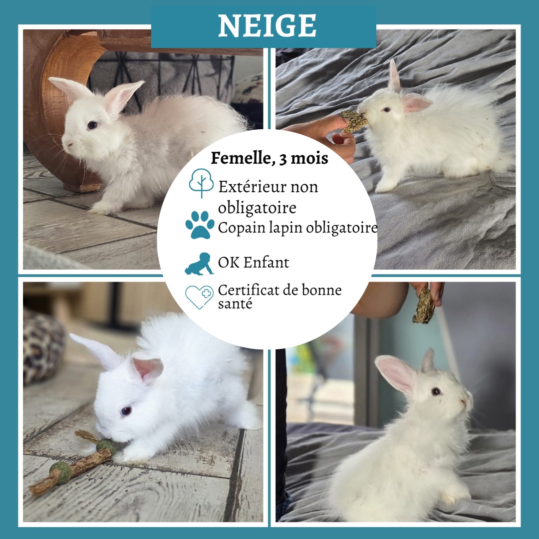 Neige