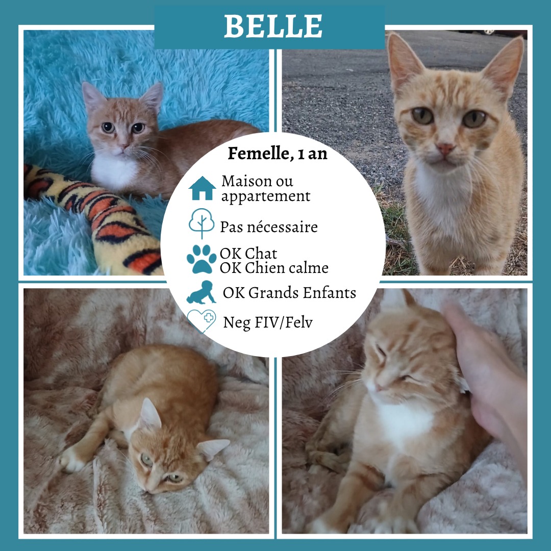 Belle