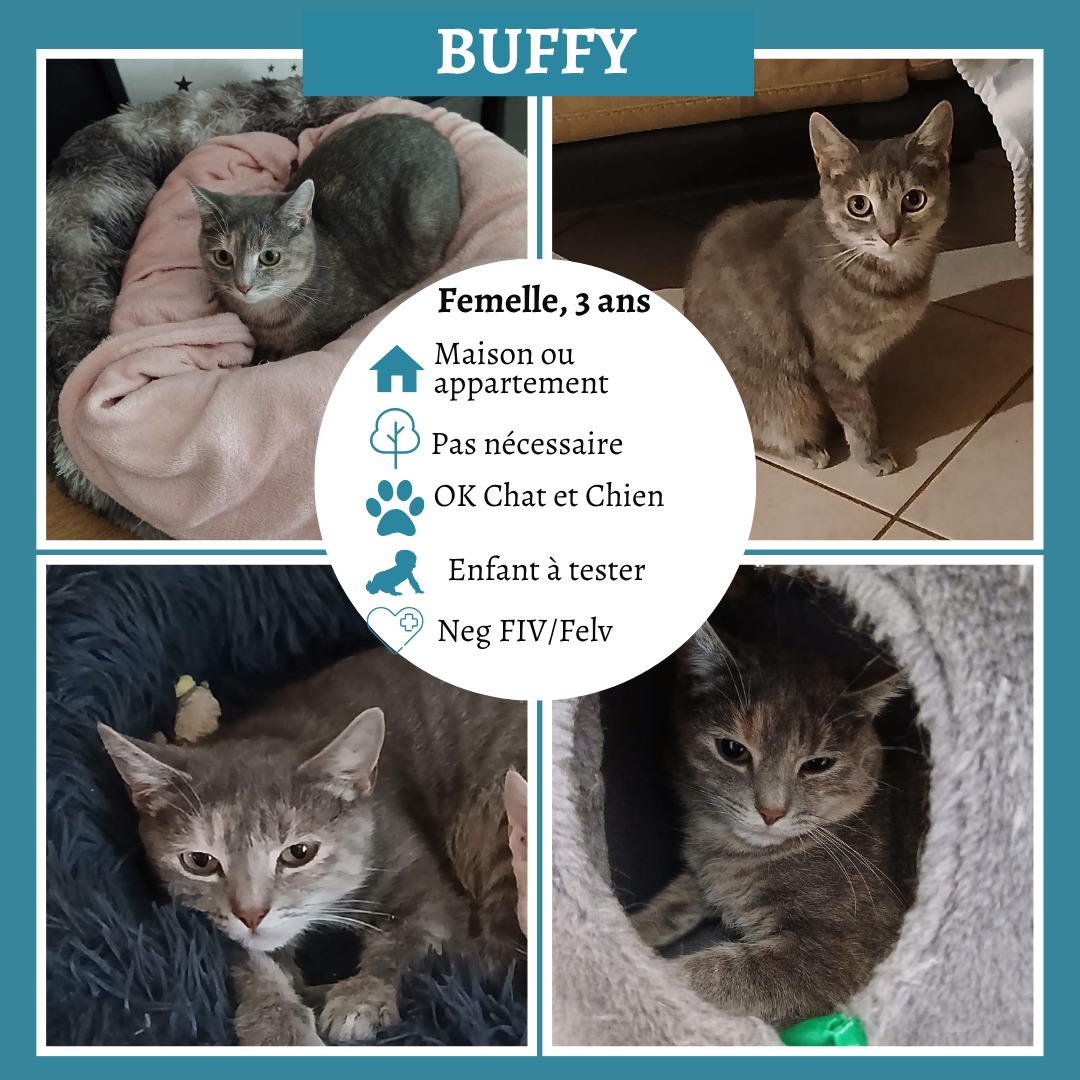 Buffy
