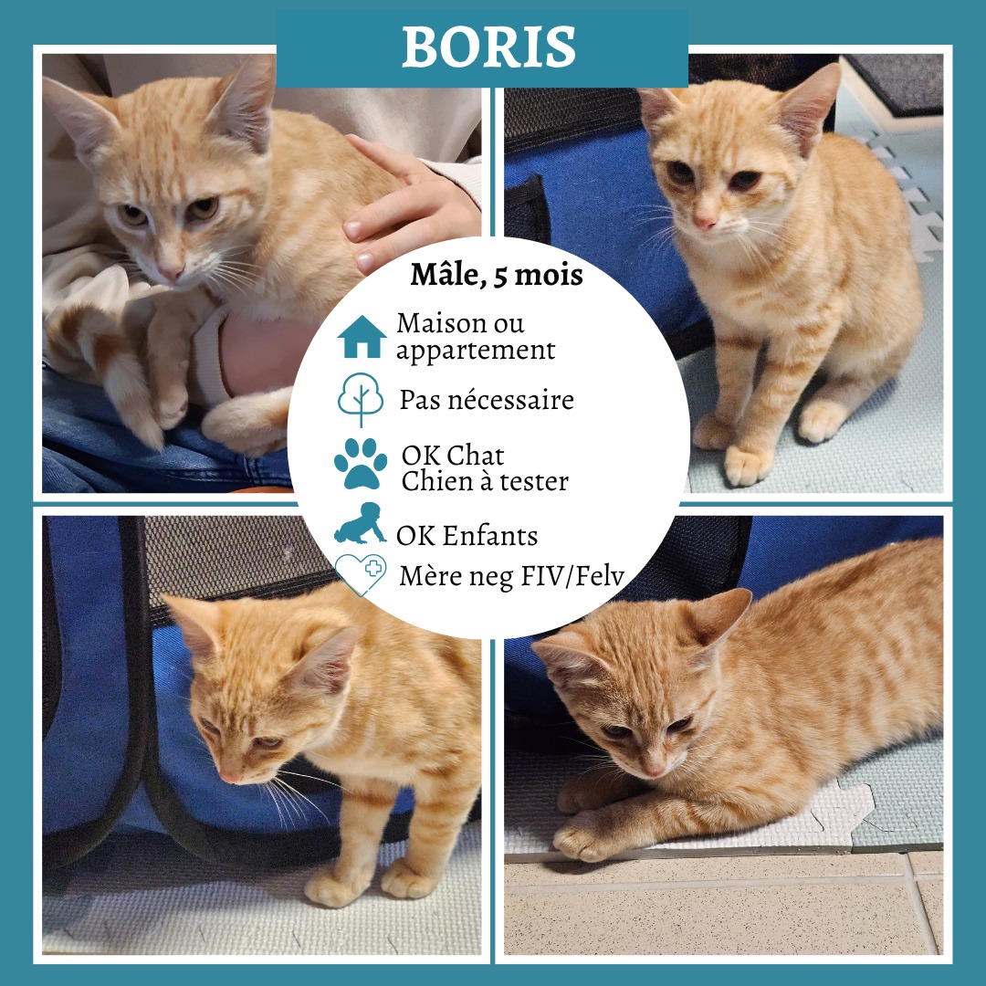 Boris