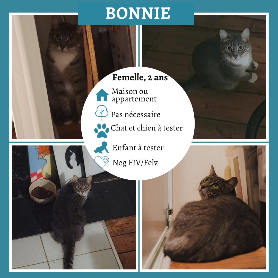 Bonnie